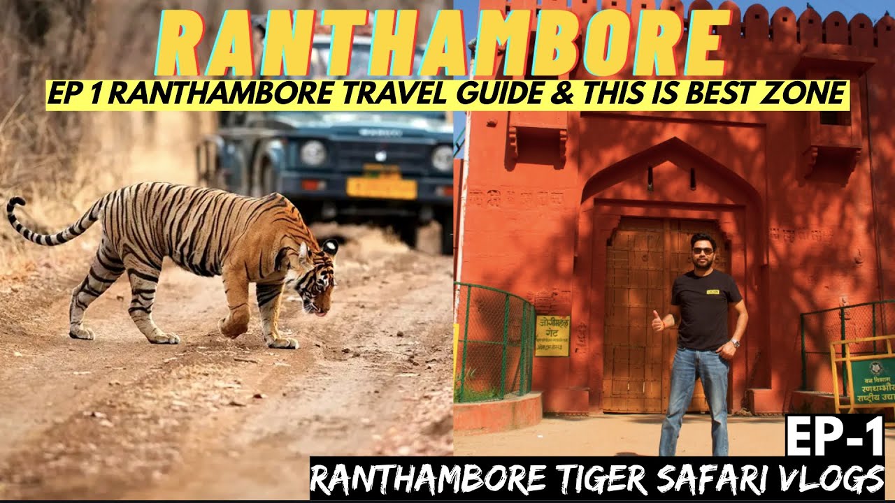 Ranthambore National Park Road Trip | Travel Guide To Ranthambore Tiger Reserve EP 1