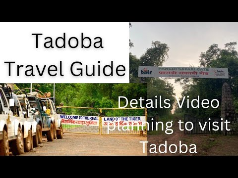 Full itinerary of Tadoba || Tadoba ki puri Jankari || Tadoba Travel Guide || #tadoba #travelguide